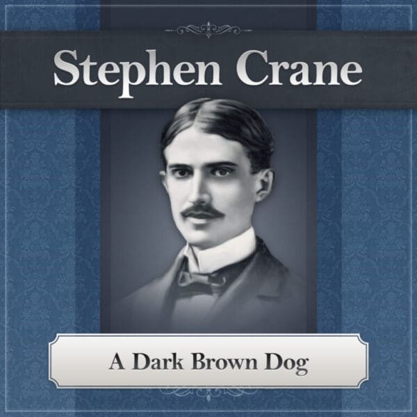 A Dark Brown Dog-768x768